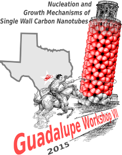 Workshop on Nucleation and Growth Mechanisms of Single Wall Carbon Nanotubes