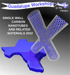 Workshop on Single Wall Carbon Nanotubes & Related Materials